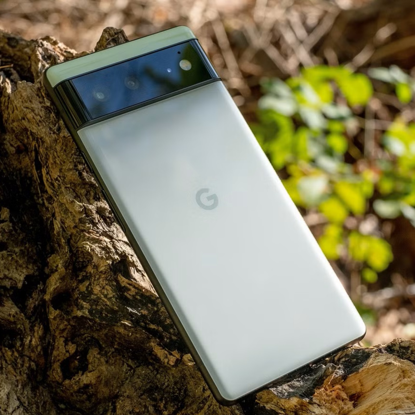 Google Pixel 6
